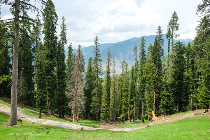 Pahalgam Tour