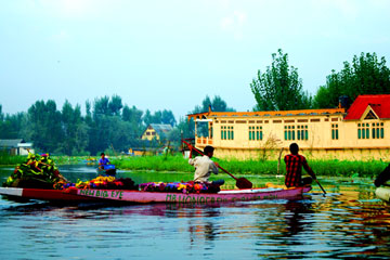 Srinagar Tour