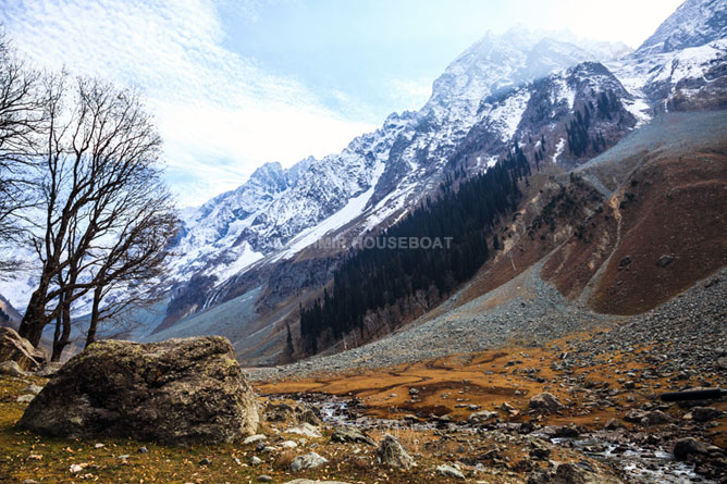 Vaishno Devi to Sriangar